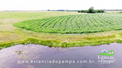 TREM TOP SORGO.00_00_44_13.Quadro017_2e318ff1f72bb6c4c96e7135a0ecab0b6a920e9d.png